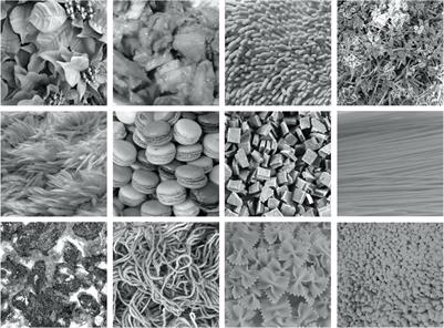 Photorealistic Reconstruction of Visual Texture From EEG Signals
